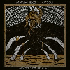 Catscan & Starving Insect - Wisdom From The Waste EP (PRSPCT 297) Out on August 25th