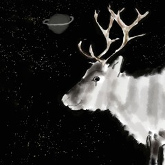 14.Lonely Reindeer In Space
