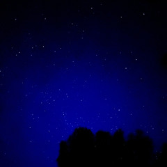 А где прошла ты