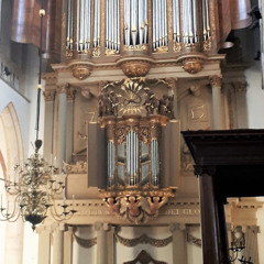 'Herr Gott, dich loben wir'. (per omnes versus) a 5 voci BWV 725  Joh. Seb Bach