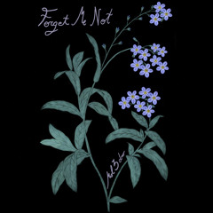 Forget Me Not