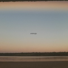 Entropy