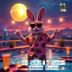 Mr Silky’s Funky House Beats
