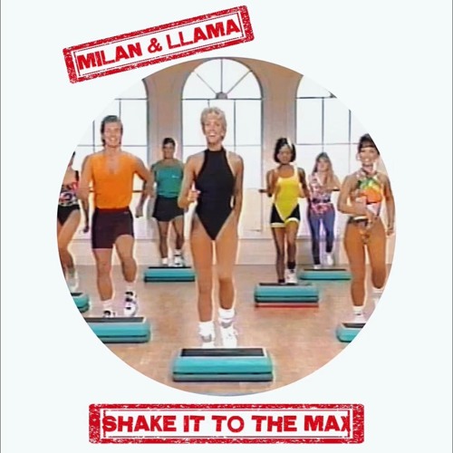 Milan, Llama - Shake it to the Max (Original Mix)