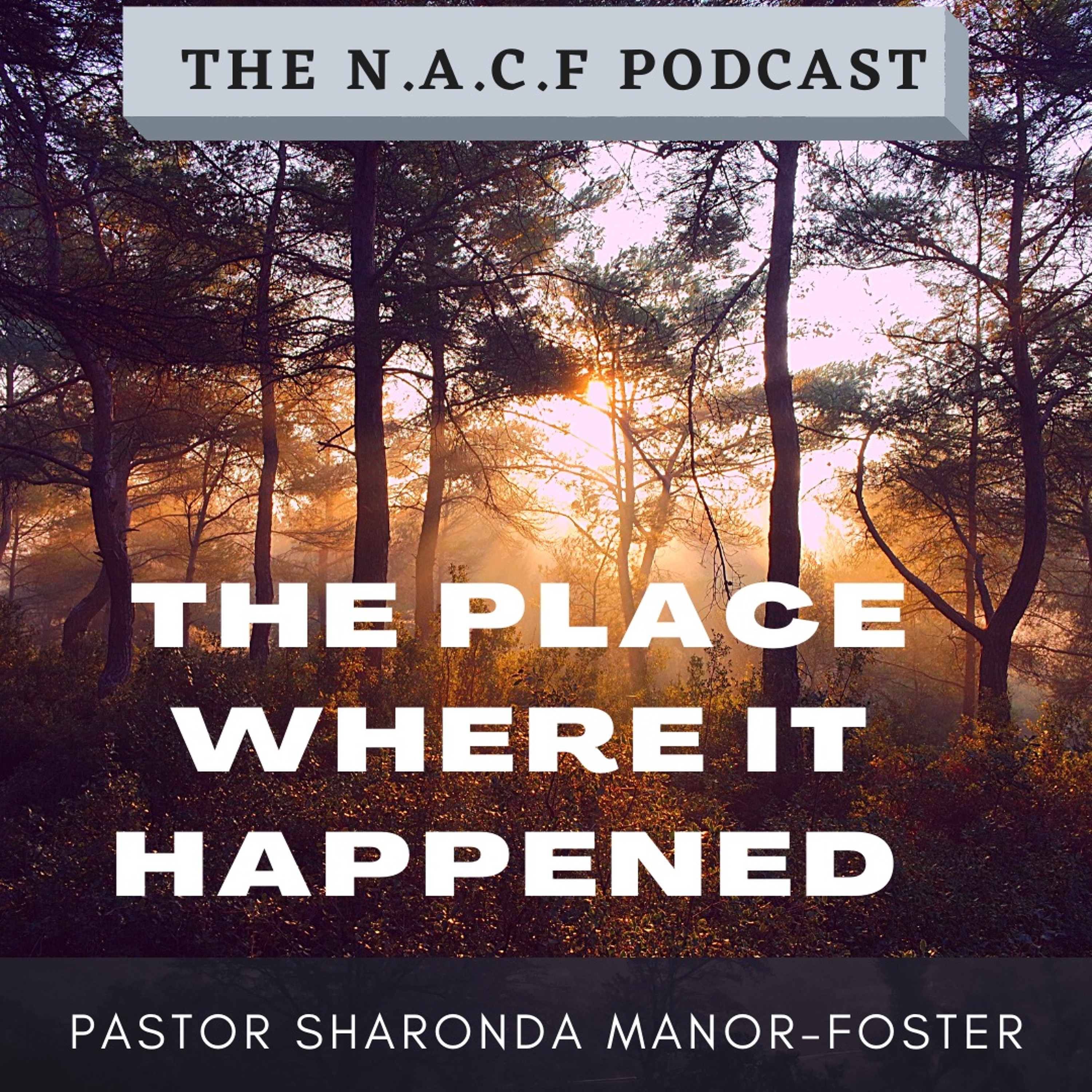 The Place Where It Happened|Pastor Sharonda Manor-Foster episode artwork