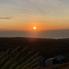 Ti lk ft djoonx rasta n3c 2012