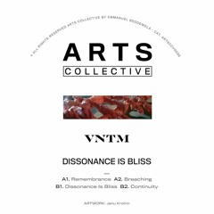Premiere: VNTM - Dissonance Is Bliss