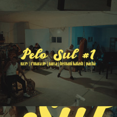 Pelo Sul #1 (feat. Garça, Hernani Kalash, Páchá & R*Mara Py)