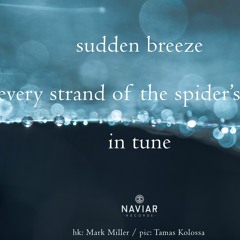 Every Strand Of The Spider's Web (Naviarhaiku473)