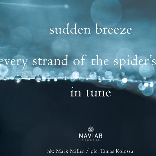 Every Strand Of The Spider's Web (Naviarhaiku473)