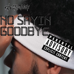 No Sayin Goodbye