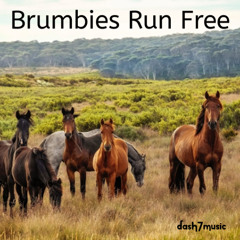 Brumbies Run Free