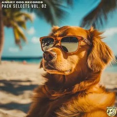 Daspa - We Back Home