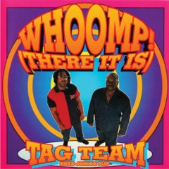 Tag Team - Whoomp! (Buzz Junior Flip)