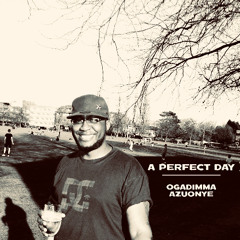 A PERFECT DAY