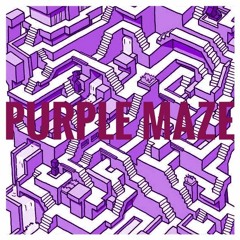 Purple Maze # 8 - NIGAN [guest mix]