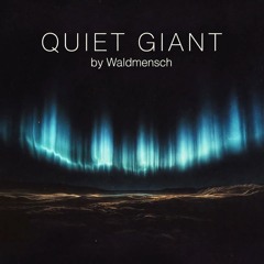 QUIET GIANT (Live Act)