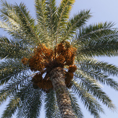 Gruvsessions-Lets Go