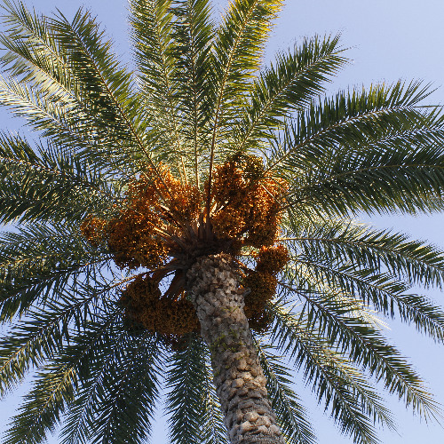 Gruvsessions-Lets Go