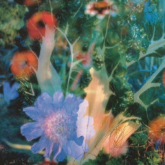 see it thru ft. Trytai