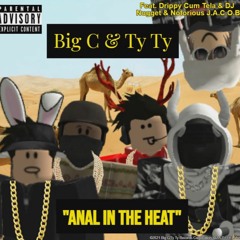 big c and ty ty - anal in the heat (feat. me, drippy cum tela, and notorious j.a.c.o.b)