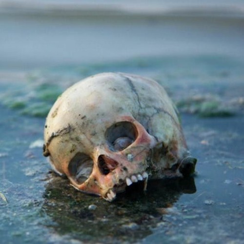 Floating Corpses , 205 Bpm