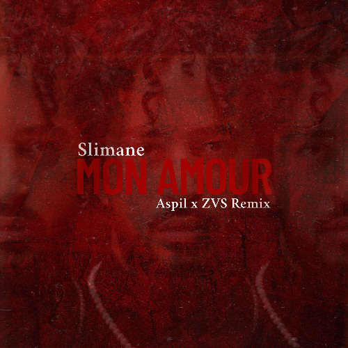 Slimane - Mon Amour (Aspil x ZVS Remix) *INSTRUMENTAL FOR SC*
