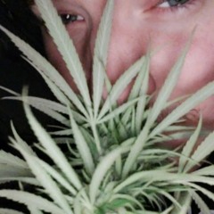 freeze (moving too fast)