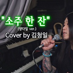 [Cover] 임창정 - 소주 한 잔 +2 key (양다일 ver.) [고음도사 김청일]
