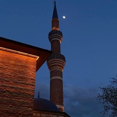 ﴿وَرَبُّكَ يَخْلُقُ مَا يَشَاءُ وَيَخْتَارُ﴾