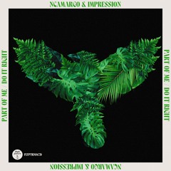 FLTPTRN067D - nCamargo & Impression - Part Of Me / Do it Right