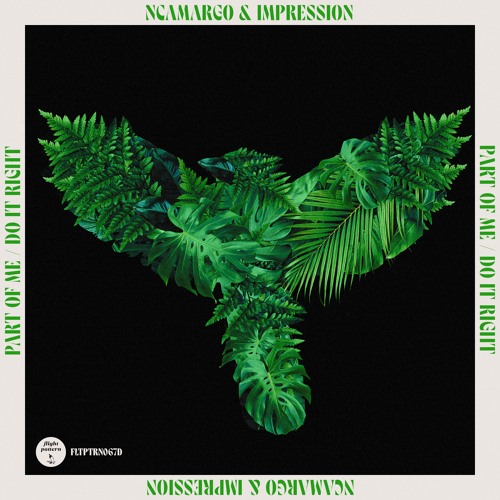 FLTPTRN067D - nCamargo & Impression - Part Of Me / Do it Right