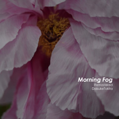 Morning Fog (Remastered)