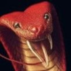 Piqure de Cobra ..