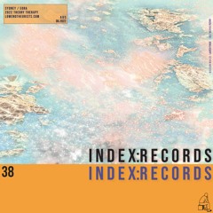 Theory Therapy 38: INDEX:Records [Conna Haraway]