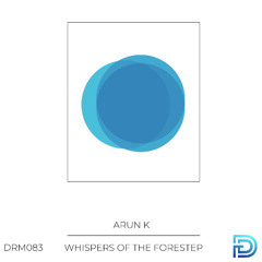 Arun K - Aurora's Solace (Original Mix) [Dreamers]