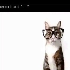 #insomnio x 7flex (hac3 tiemxo) #bakstageskkuad prod. codeveronica17