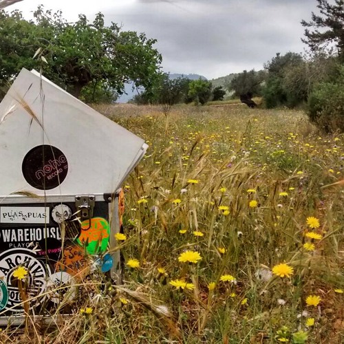 EL BULLIT SONICO 003