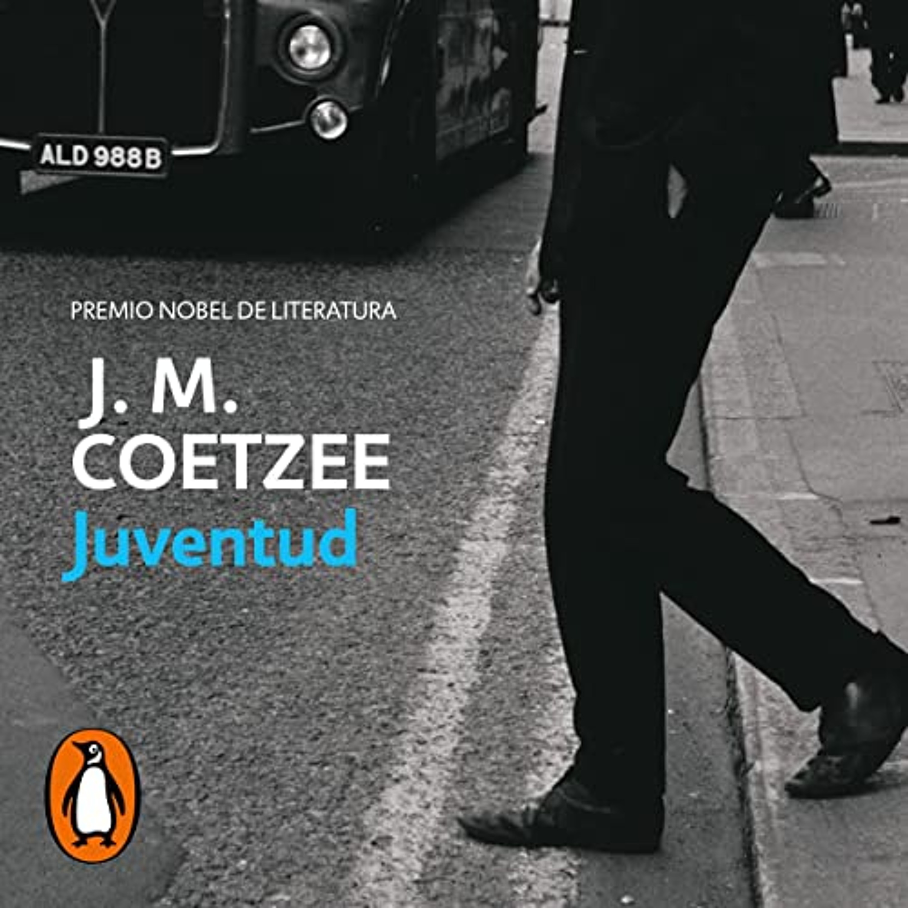 Juventud: Escenas de una vida de provincias 2 [Youth: Scenes from Provincial Life II] (Audiolibro) | Prueba Gratis