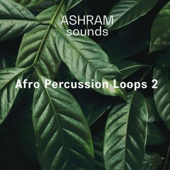 ASHRAM Afro Percussion Loops 2 (Sample Pack Demo Song)