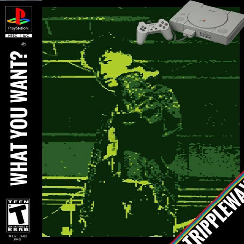 TrippleWay—What You Want