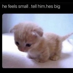 _