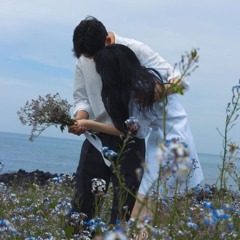 túp lều lí tưởng - hoodtrap