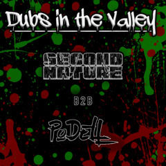 Podell B2B Second Nature