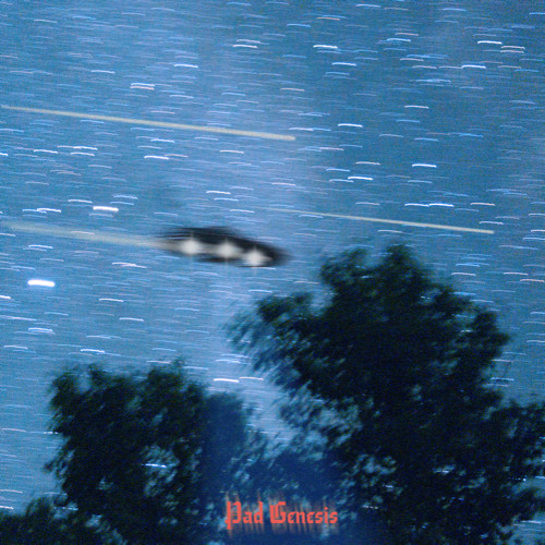 Kitty K-Hole / Platform Osiris