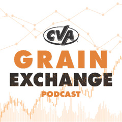 Episode 64 | A Positive Look at the USDA's First New Crop Estimates