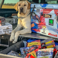 E488 - Jack Link’s – The Unexpected Story Behind America’s Favorite Jerky