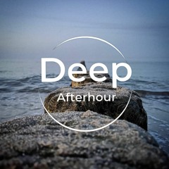 d.m.s. - Deep Afterhour Nr. 375