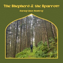 The Shepherd & the Sparrow