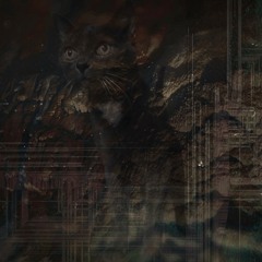 REC_20250827